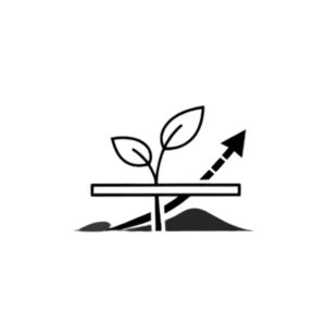 Lack of growth despite efforts